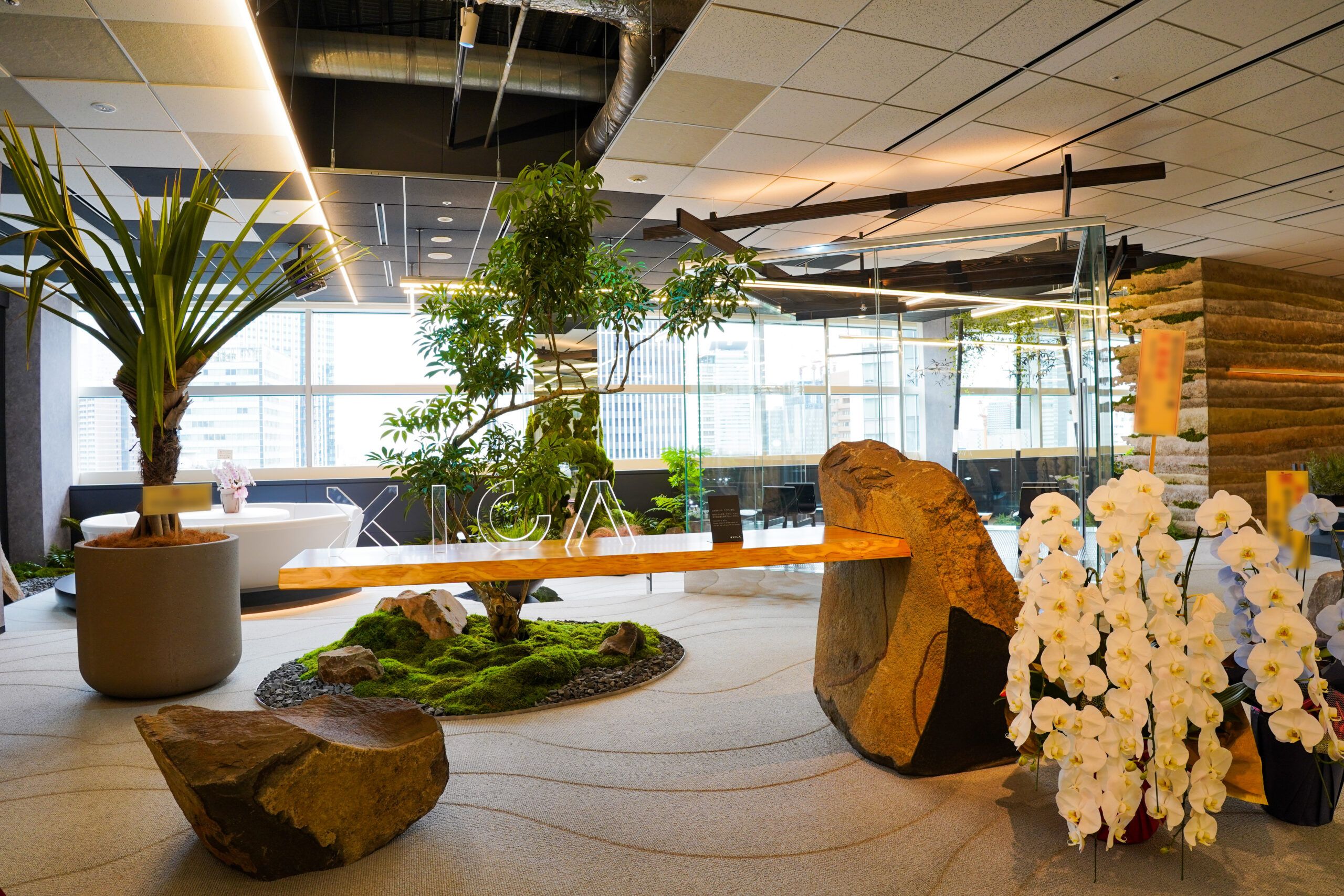 東京都港区〉株式会社サイカ - 才能開花に満ちた公正な世界をつくる